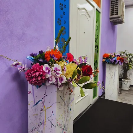 Allegro Πανσιόν 4*